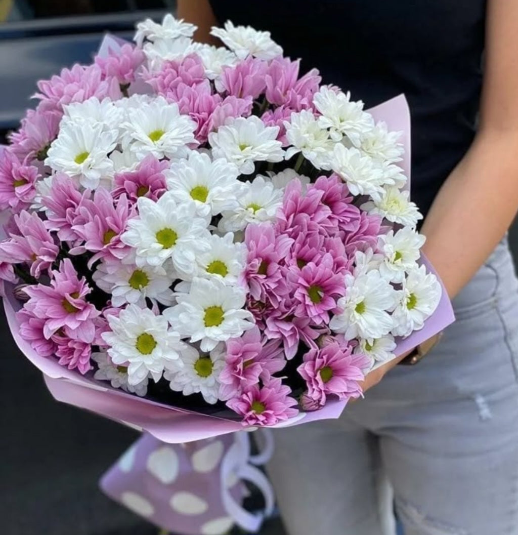 Bouquet : daisy